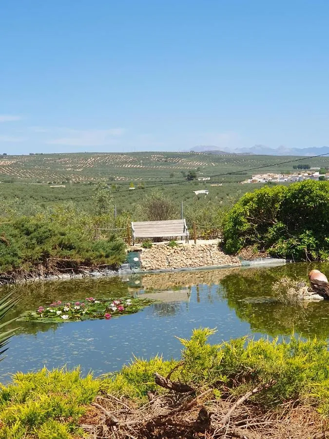 Casa Olivar B&B Tocon 0*,  Spanien
