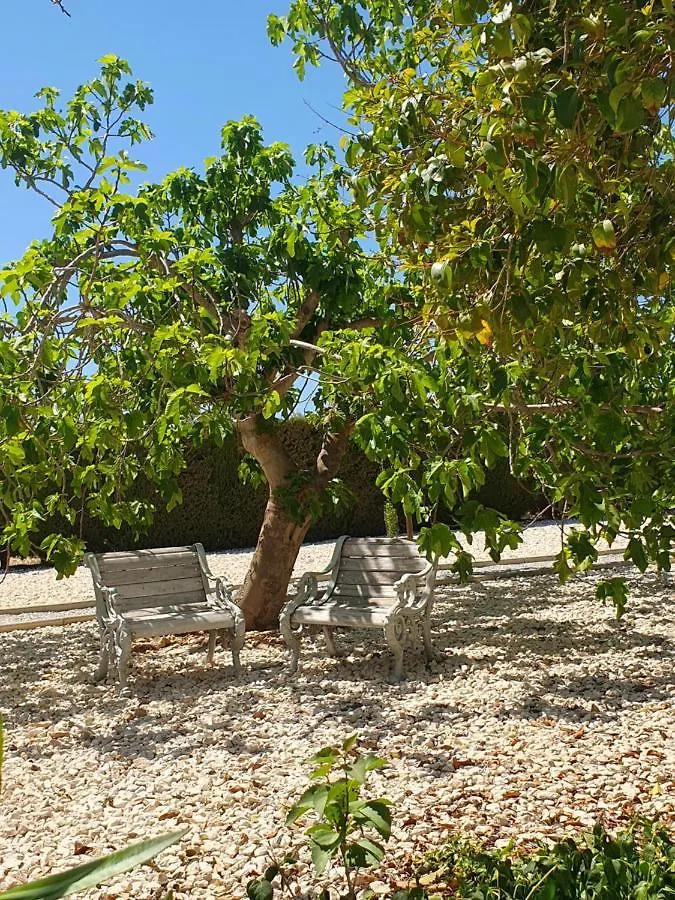 Alojamento de Acomodação e Pequeno-almoço Casa Olivar B&B Tocon