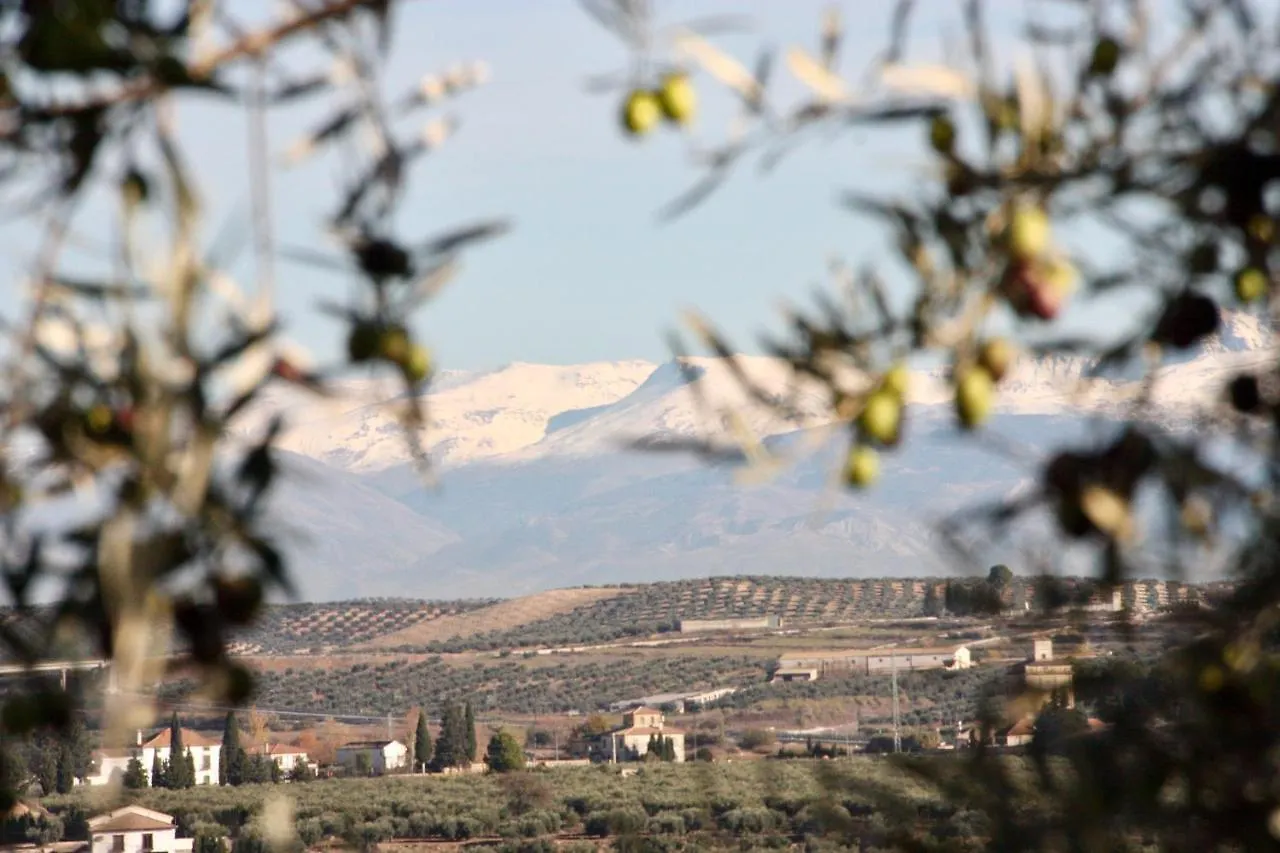 Casa Olivar B&B Tocon